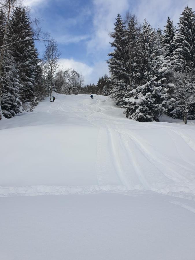 Castel Condino Chalet Chapeau Rar מראה חיצוני תמונה